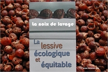 NOIX DE LAVAGE PAQUET DE 500 GRS